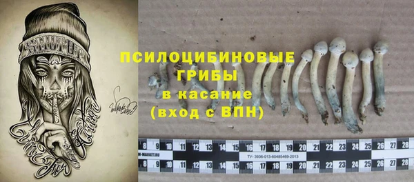apvp Алзамай