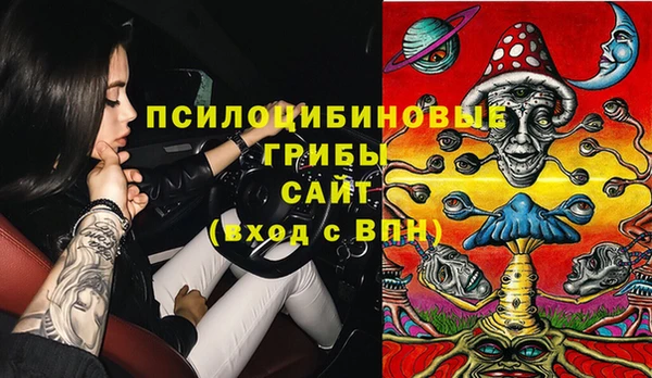 спиды Алексин