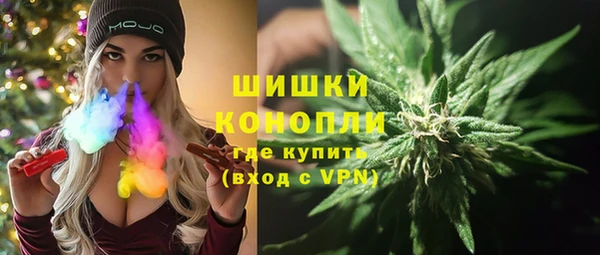 apvp Алзамай