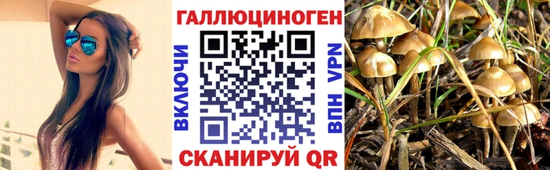 mega сайт  Енисейск  Галлюциногенные грибы прущие грибы 